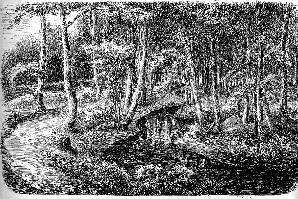 Øer 02 Eriksvolde N 1866