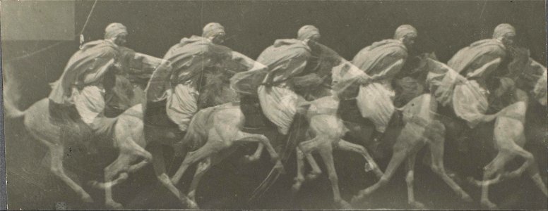 Étienne-Jules Marey - Arab Horse Gallup - Google Art Project