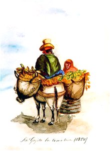 Ña Goyita la tamalera (1850)