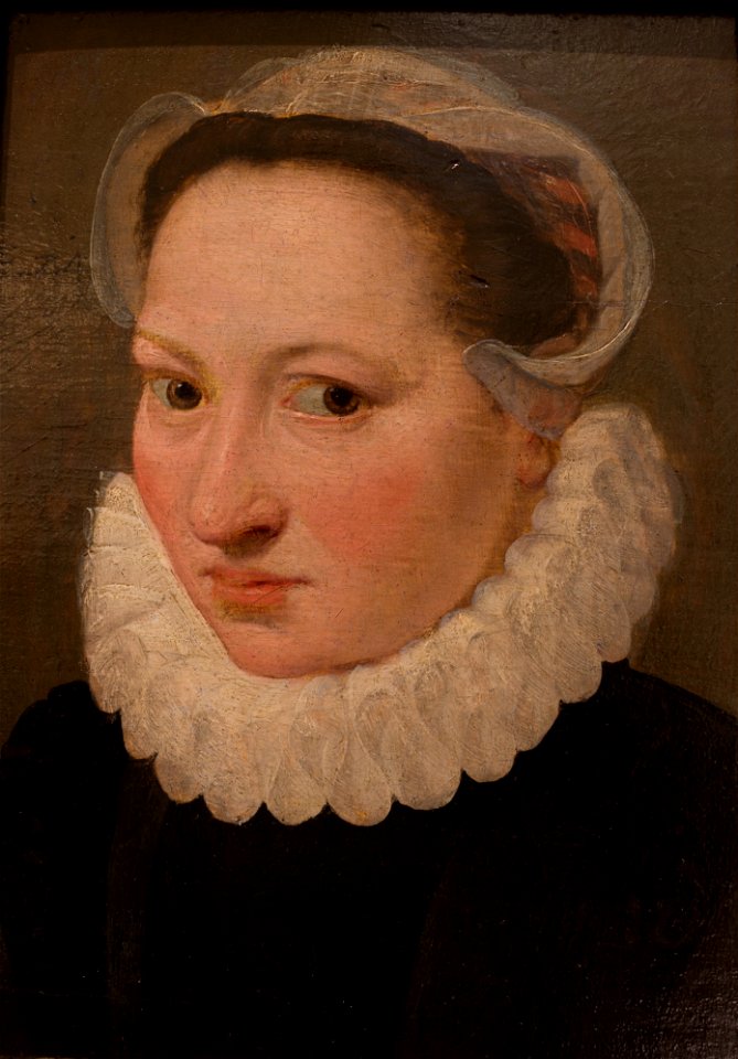 Étienne de Martellange - Portrait d'une femme âgée de vingt-quatre ans (huile sur bois, 1570)