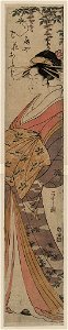 Ōgiya hanaōgi LCCN2008660188