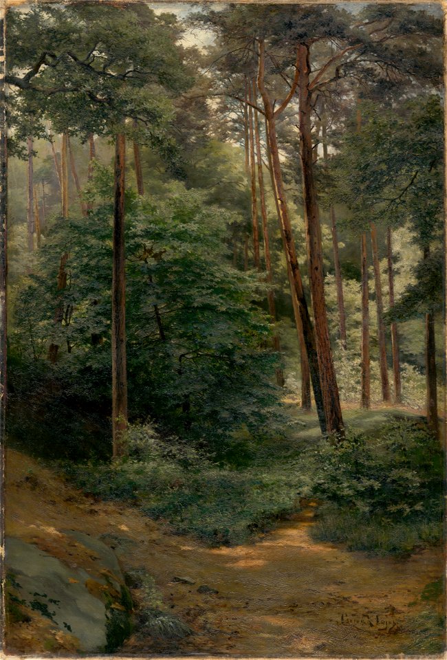 Ľudovít Čordák - Les - O 431 - Slovak National Gallery