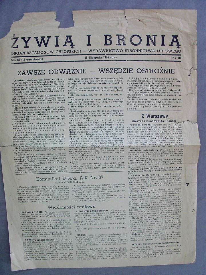 Żywią i Bronią nr 22
