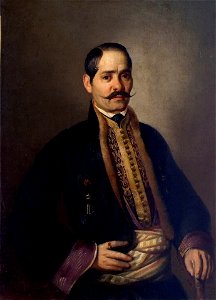 Đura Jakšić - Tasa Živković, 1860, Narodni muzej