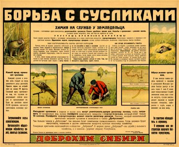 Борьба с сусликами. Химия на службе у земледельца