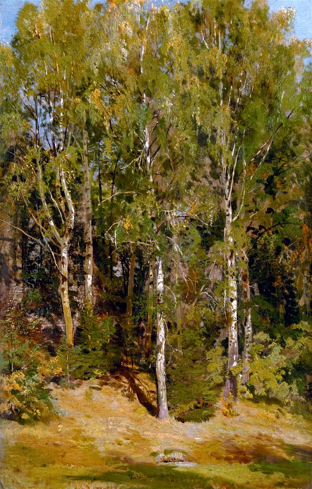 Берёзовая роща (Шишкин)