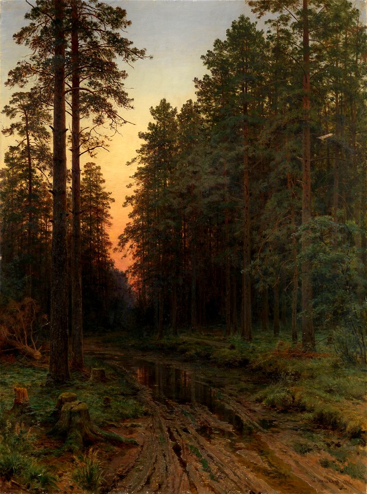 Вечерняя заря (Шишкин)