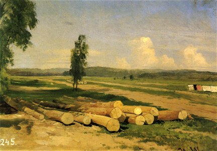 Бревна. Деревня Константиновка (Шишкин)