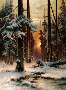 Зимний закат в еловом лесу. Free illustration for personal and commercial use.