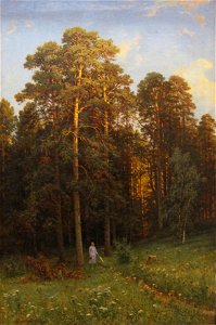 Иван Шишкин На опушке соснового леса 1882