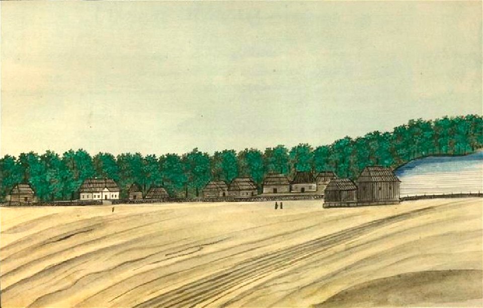 Де ля Фліз Романівка 760