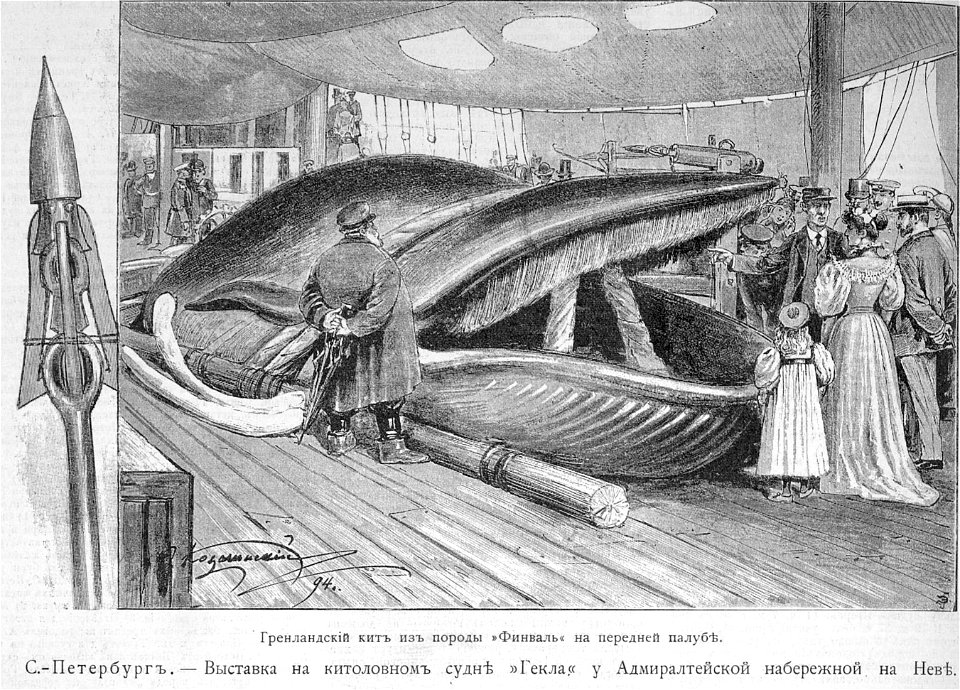 Китоловное судно, 1894