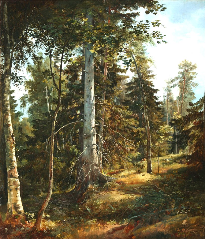 Лесная чаща (Шишкин)