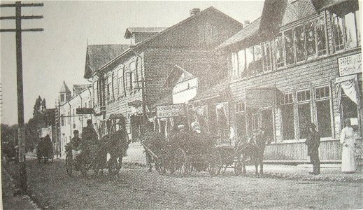Лесгафт ссылка в Терриоки 1901г