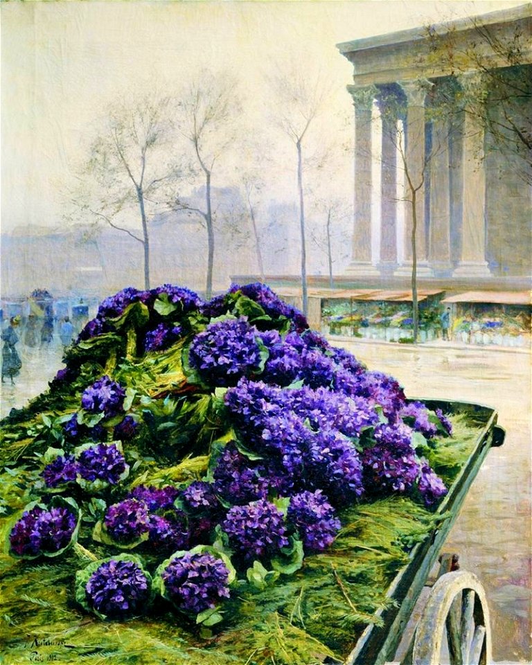 Крачковский Иосиф Евстафьевич Фиалки из Ниццы. 1902