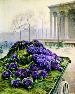 Крачковский Иосиф Евстафьевич Фиалки из Ниццы. 1902