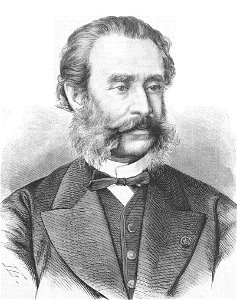 Монигетти Ипполит Антонович, 1878