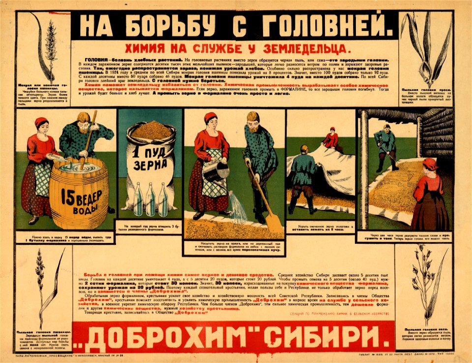 На борьбу с головнёй. Химия на службе у земледельца