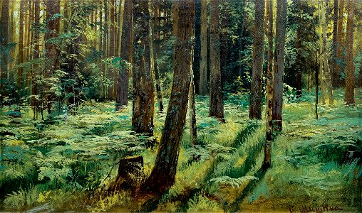 Папоротники в лесу. Сиверская (Шишкин)