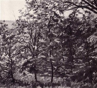 Ржезников Летний пейзаж 1938