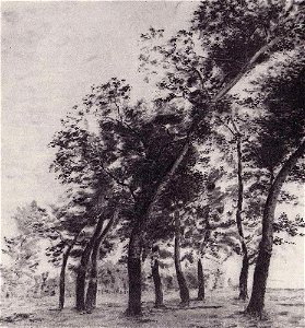 Ржезников Окраина Чернигова. Группа деревьев, 1937