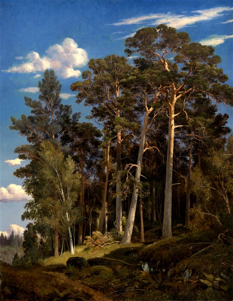 Сосновый лес (Шишкин, 1866)