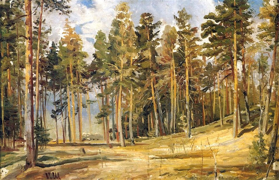Сосны. Солнечный день (Шишкин)