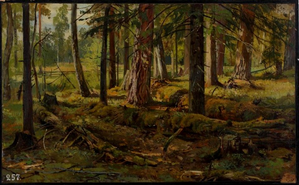 Этюд леса (Шишкин)