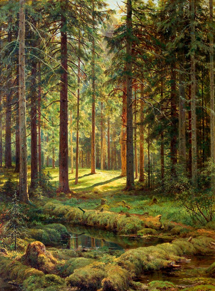 Хвойный лес. Солнечный день (Шишкин)
