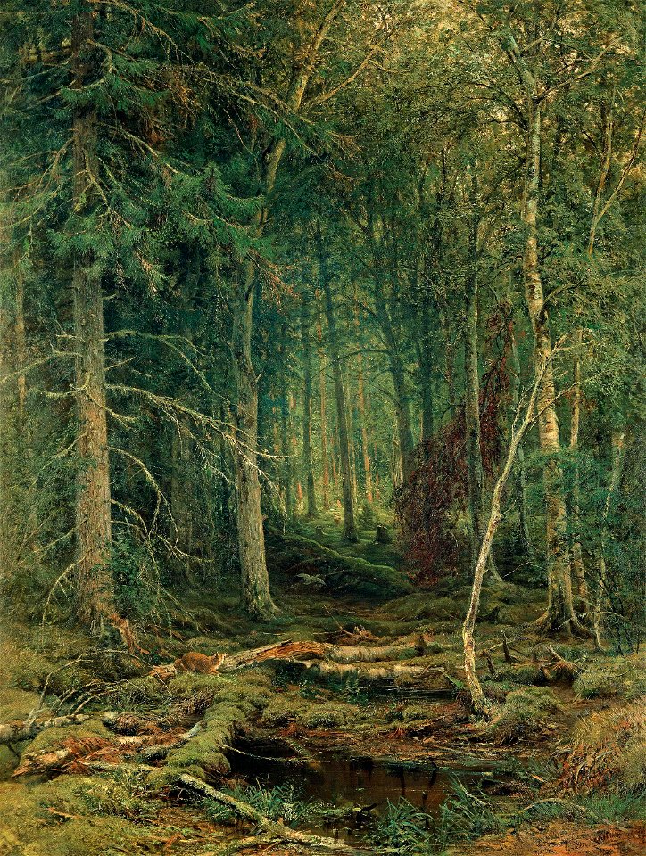 Шишкин И. И. (1872) Лесная глушь 02