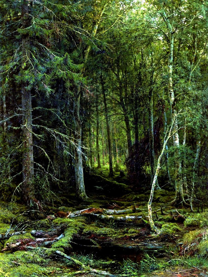 Шишкин И. И. (1872) Лесная глушь