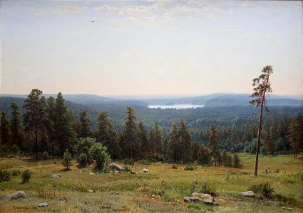 Шишкин И. И. (1884) Лесные дали