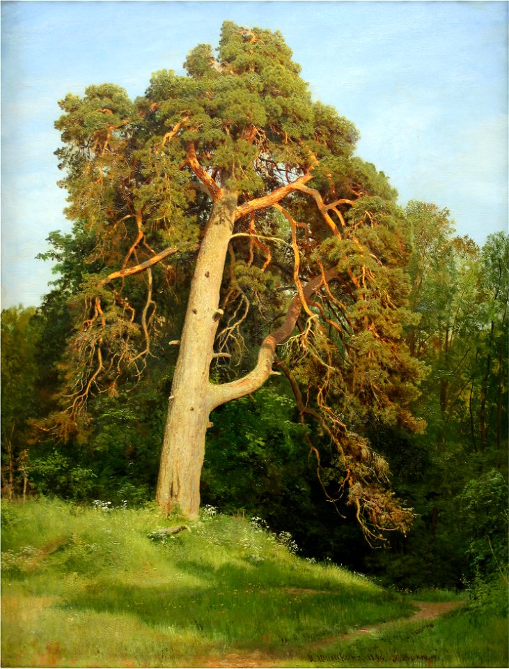 Шишкин, Сосна. Мерикюль, 1894