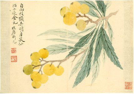 清 惲壽平 花卉冊 7