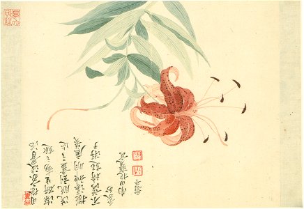 清 惲壽平 花卉冊 2