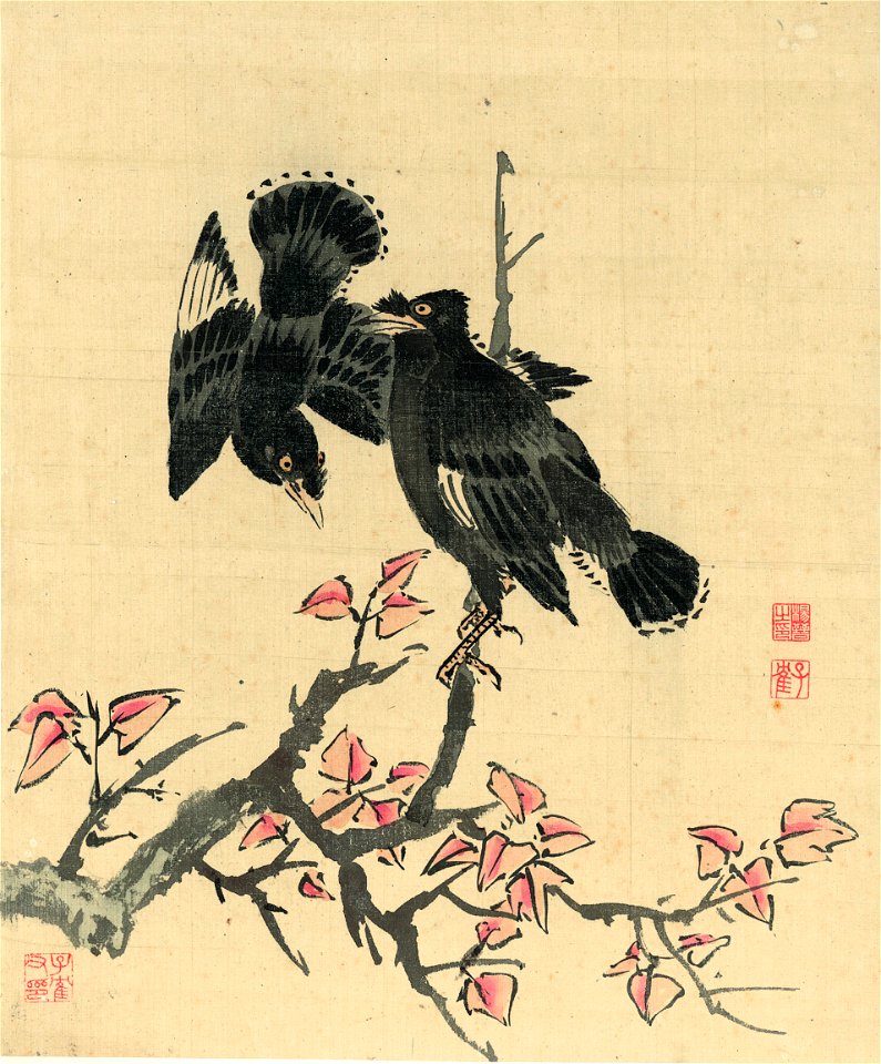 清 楊晉 花鳥十二開 10