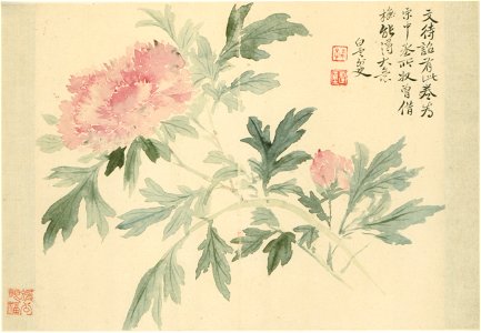 清 惲壽平 花卉冊 8