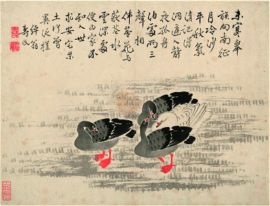 清 邊壽民 蘆雁圖十開 9