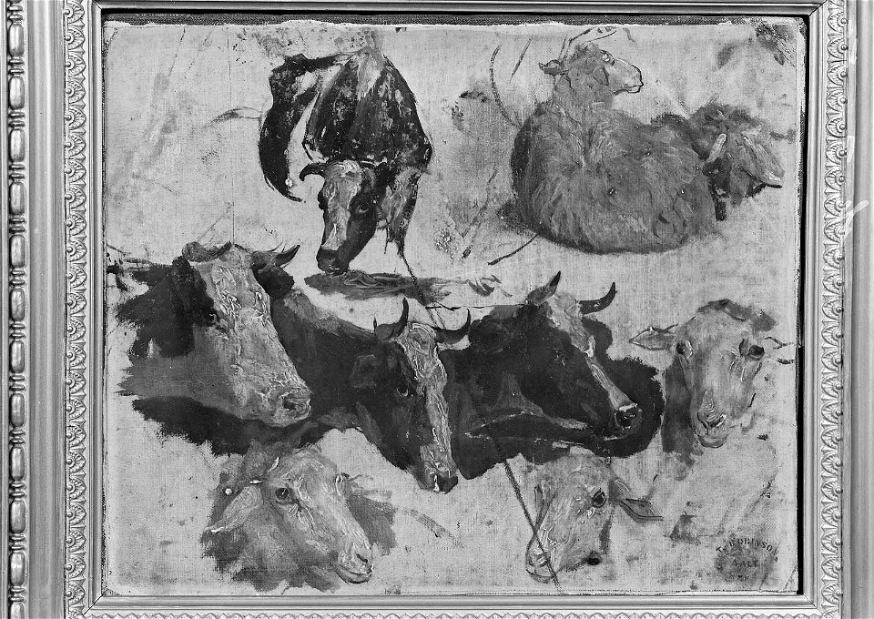 Thomas R. Robinson - Study of Cows and Sheep - 20.859 - Museum of Fine Arts