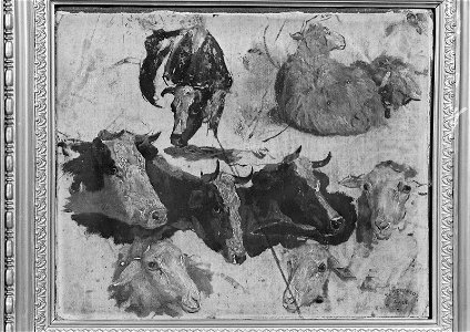 Thomas R. Robinson - Study of Cows and Sheep - 20.859 - Museum of Fine Arts