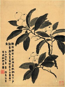 清 金農 花卉冊 3