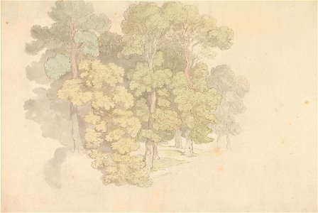 Thomas Rowlandson - A Group of Trees - Google Art Project. Free illustration for personal and commercial use.