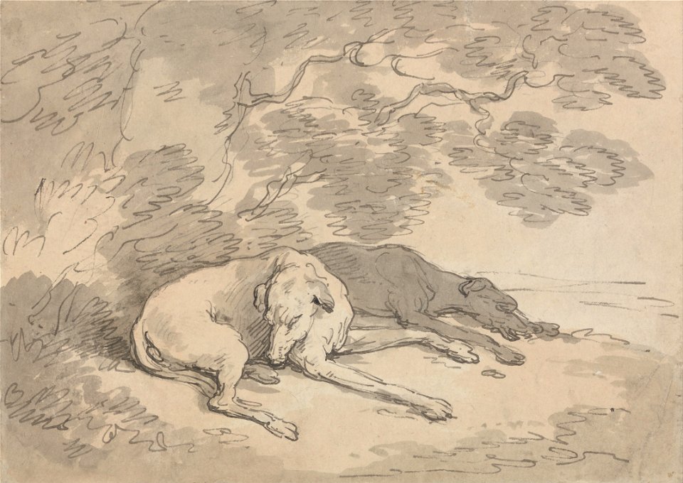 Thomas Rowlandson - Two Greyhounds Lying under a Tree - Google Art Project