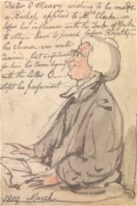 Thomas Rowlandson - Dr O'Meara Preaching - Google Art Project. Free illustration for personal and commercial use.