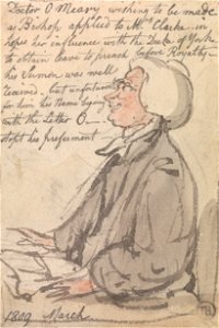 Thomas Rowlandson - Dr O'Meara Preaching - Google Art Project