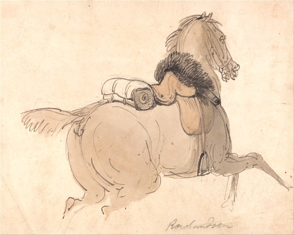 Thomas Rowlandson - A Saddled Cavalry Horse - Google Art Project
