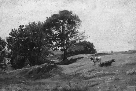 Thomas R. Robinson - Hillside in Summer - RES.08.12 - Museum of Fine Arts
