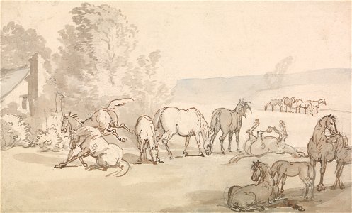 Thomas Rowlandson - Mares and Foals in a Field - Google Art Project. Free illustration for personal and commercial use.