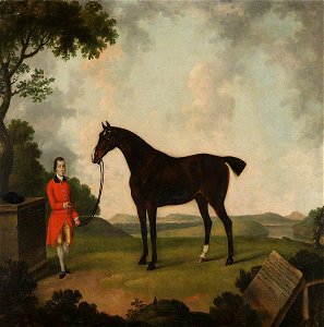 Thomas Stringer (1722-1790) - A Black Horse Called 'Bishop', with His Groom, in a Landscape - 609052 - National Trust. Free illustration for personal and commercial use.