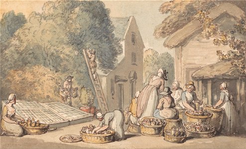 Thomas Rowlandson - Picking Mulberries - Google Art Project. Free illustration for personal and commercial use.